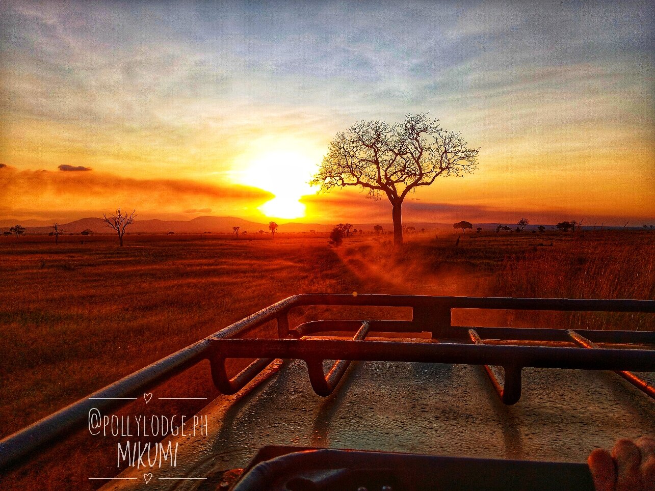 Sunset behind a lone tree seen over a vehicle roof in Mikumi National Park